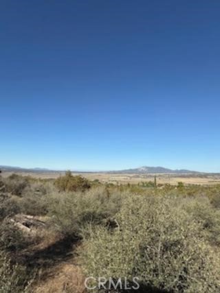 MLS #SW25227735 image #11