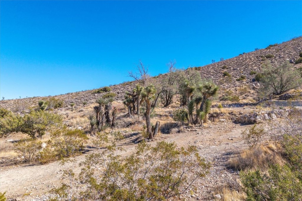 MLS #JT25259485 image #15