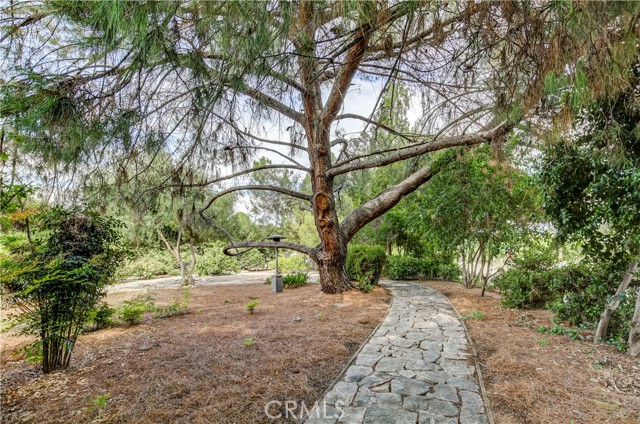 31049 E Sunset Drive, Redlands, California 92373, ,Land,For Sale,31049 E Sunset Drive,CREV23180656