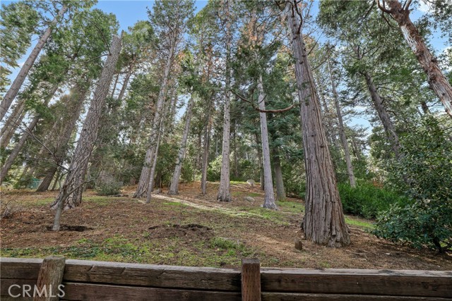 Detail Gallery Image 22 of 40 For 994 Lausanne Dr, Crestline,  CA 92325 - 4 Beds | 2/1 Baths