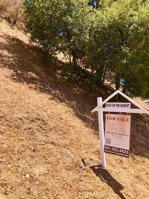 0 Lincoln Ave, Val Verde CA: https://media.crmls.org/medias/b9e45b91-ff3a-4dc1-9039-b8740e34e8b2.jpg
