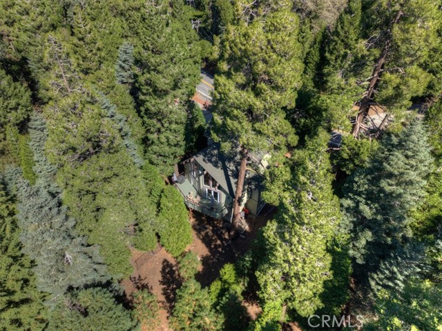 420 Cumberland, Lake Arrowhead, CA 92352
