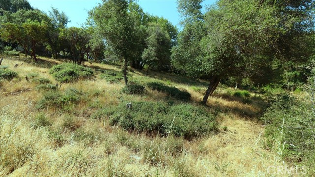 Detail Gallery Image 2 of 6 For 9523 Tenaya Way, Kelseyville,  CA 95451 - – Beds | – Baths