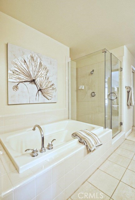 Separate shower and bathtub in master bathroom
