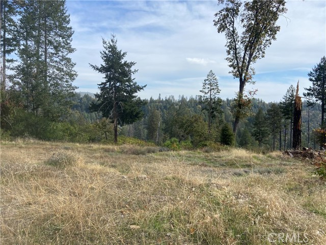 Detail Gallery Image 8 of 11 For 13690 Andover, Magalia,  CA 95954 - – Beds | – Baths