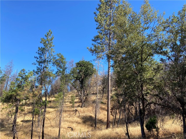 3154 Wild Dove Lane, Mariposa, California 95338, ,Land,For Sale,3154 Wild Dove Lane,CRMP23148188