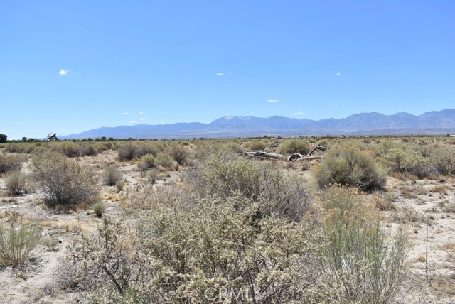 Detail Gallery Image 2 of 8 For 14500 Ave R, Littlerock,  CA 93543 - – Beds | – Baths