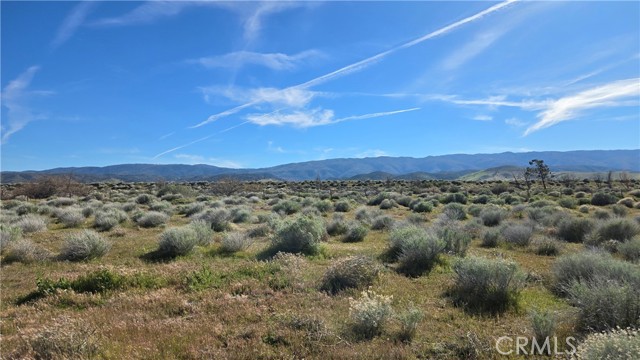 Detail Gallery Image 21 of 32 For 0 Ave C Vicinity 264th St W, –,  CA 93536 - – Beds | – Baths