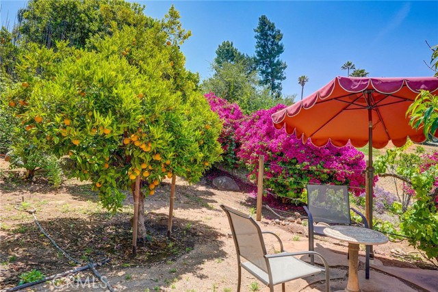 3321 Via Loma Vista, Escondido, California 92029, 4 Bedrooms Bedrooms, ,4 BathroomsBathrooms,Residential,For Sale,Via Loma Vista,OC24122228