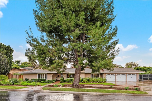 Front Image Thumbnail for CRNP26089041