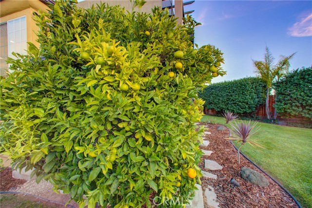 Detail Gallery Image 49 of 58 For 1194 Monaco Ct, Grover Beach,  CA 93433 - 3 Beds | 2/1 Baths