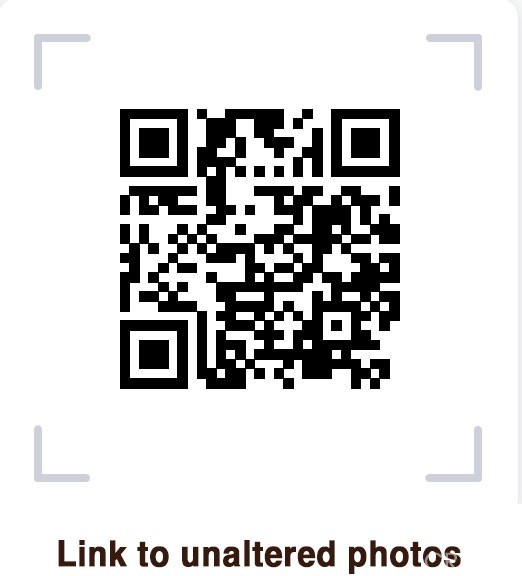 Detail Gallery Image 57 of 57 For 1200 Minton Dr, Big Bear City,  CA 92314 - 3 Beds | 2 Baths