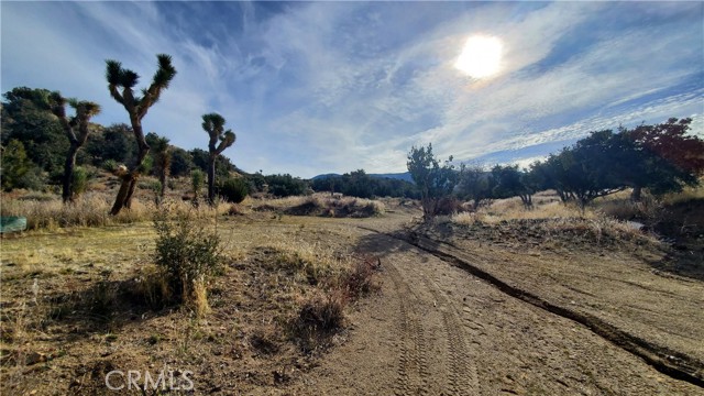 MLS #SR25242278 image #26