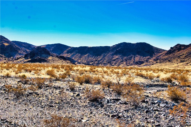 Detail Gallery Image 11 of 42 For 75777 Riverside Rd, Newberry Springs,  CA 92365 - – Beds | – Baths