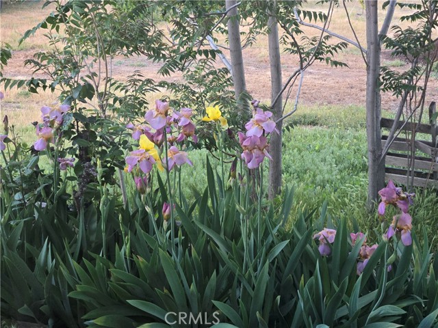 Detail Gallery Image 60 of 71 For 57745 Bailey Rd, Anza,  CA 92539 - 3 Beds | 2 Baths