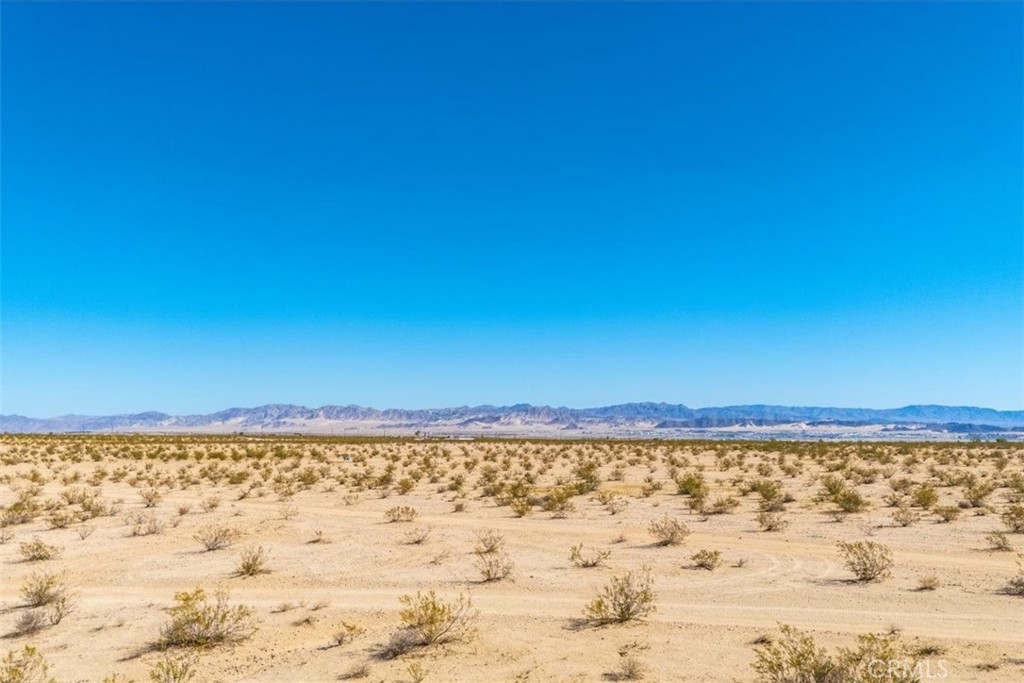 MLS #JT25225678 image #11