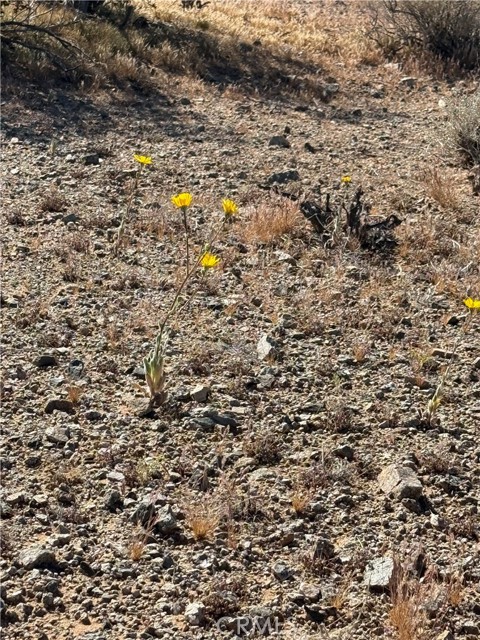 Detail Gallery Image 4 of 8 For 0 Shapaval Ave, Lucerne Valley,  CA 92356 - – Beds | – Baths