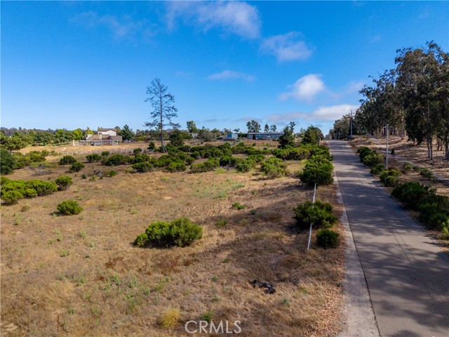 1255 Viva Way, Nipomo CA: https://media.crmls.org/medias/ba2358e7-4f25-4ec6-9417-710f7e6f41e9.jpg