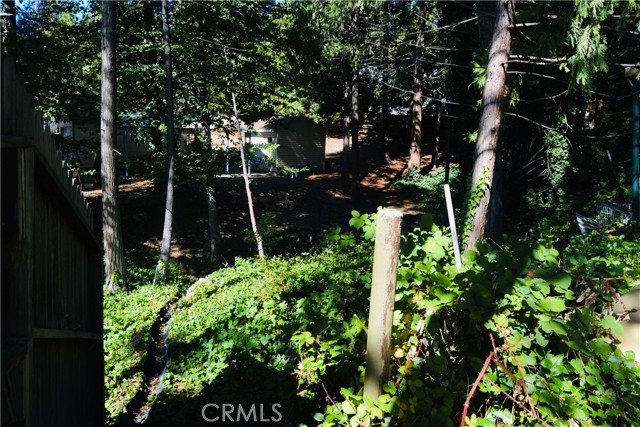 seasonal stream below