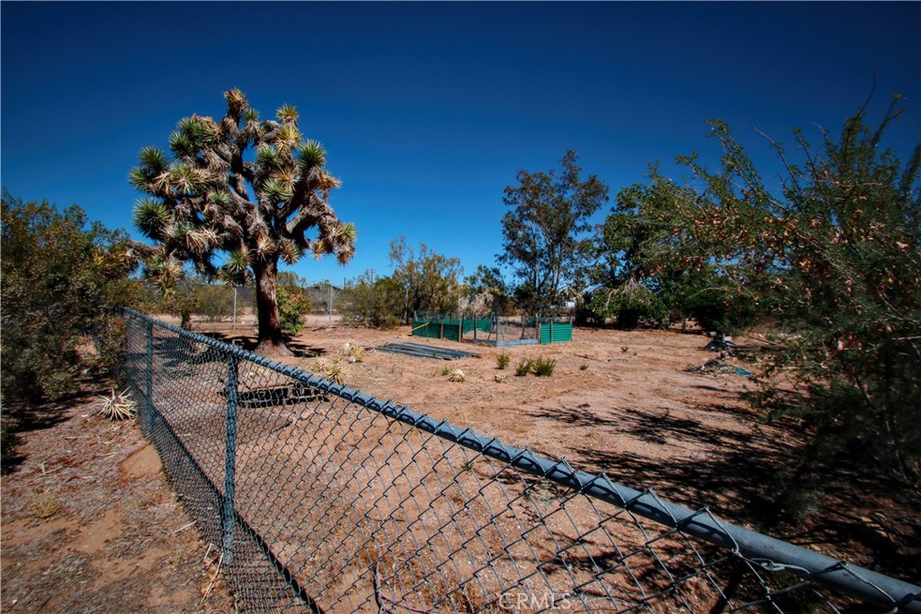 MLS #JT25220711 image #32