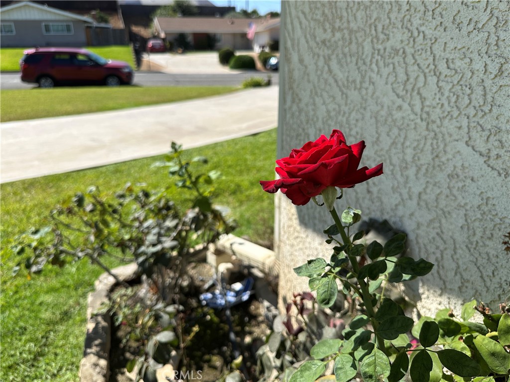 https://media.crmls.org/medias/ba2aacf2-1709-4e34-b4e7-c5bf8a9c9ca4.jpg?preset=X-Large