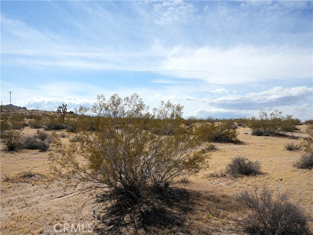 Image 14 of 21 For 0 Belmont Street