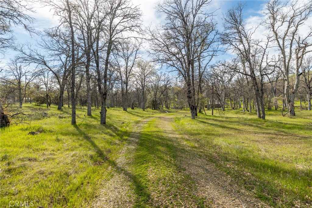 MLS #MP25083709 image #8