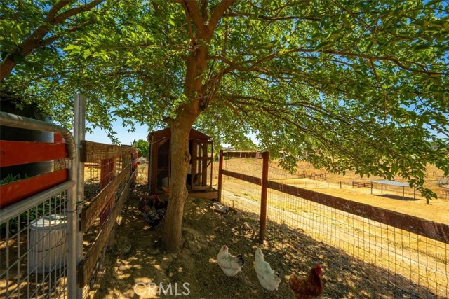 Detail Gallery Image 52 of 73 For 5498 Forked Horn Pl, Paso Robles,  CA 93446 - 3 Beds | 2 Baths