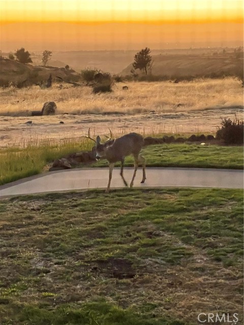3070 Royal Meadow Lane, Paradise CA: https://media.crmls.org/medias/ba464cc3-46f3-49fb-94bd-69d0a214dc73.jpg