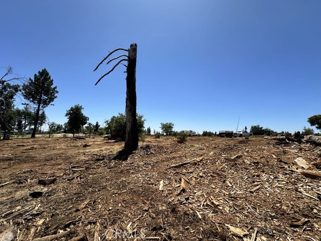 5440 Edgewood Lane, Paradise CA: https://media.crmls.org/medias/ba4a0102-de4a-4ad8-ab35-9e12080d375a.jpg