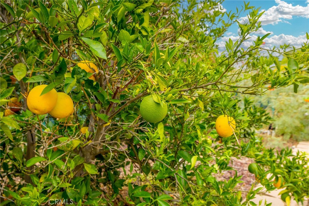 MLS #IG25231368 image #40