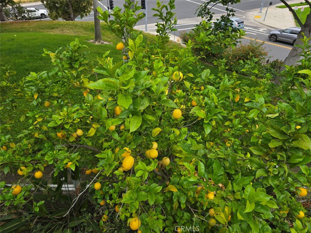 https://media.crmls.org/medias/ba4cc02e-4931-4806-8115-10c8aa0b3bcd.jpg?preset=X-Large