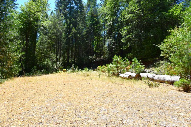 94 Weiss Hill Road, Oroville, CA, 95966 94 Weiss Hill Road, Oroville, CA, 95966