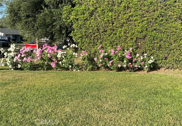 23376 Hartland Street, West Hills CA: https://media.crmls.org/medias/ba52eb47-c994-4eda-82bf-23218646b109.jpg