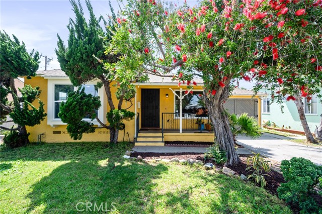 Front Image Thumbnail for CRSB26063878