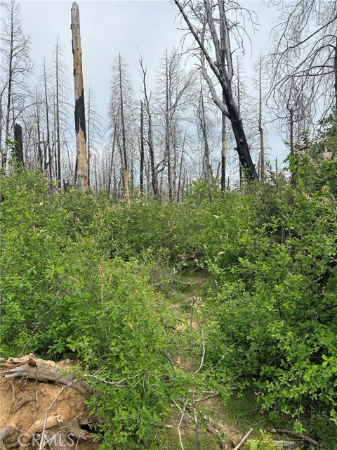 Detail Gallery Image 13 of 14 For 83 Oak Tree Lane, Berry Creek,  CA 95916 - – Beds | – Baths