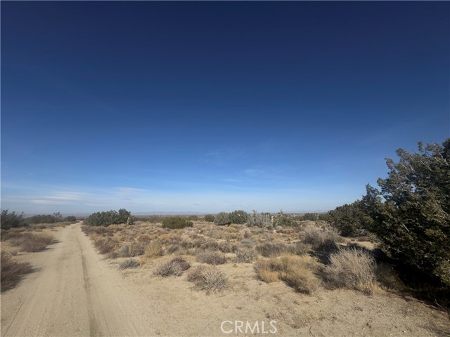 0 Avenue Y, Llano CA: https://media.crmls.org/medias/ba5b503b-dd59-4c69-b8d1-55d8b93f1e10.jpg