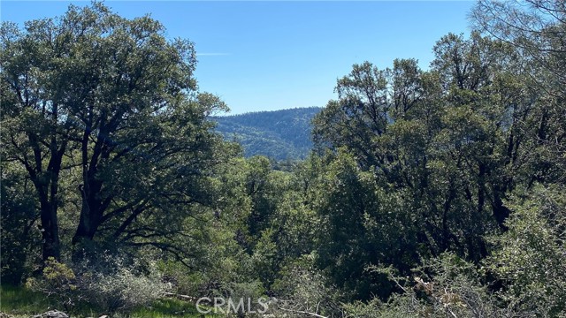 Detail Gallery Image 1 of 4 For 0 Mann and Nolta Ridge Rd, Chico,  CA 95973 - – Beds | – Baths