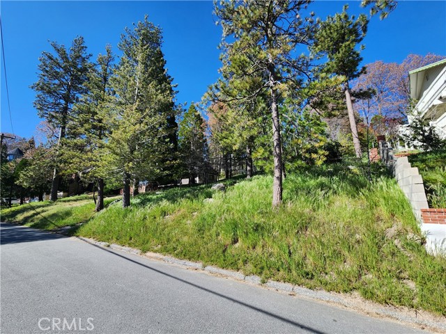 Detail Gallery Image 10 of 22 For 0 Alpen Dr, Lake Arrowhead,  CA 92352 - – Beds | – Baths