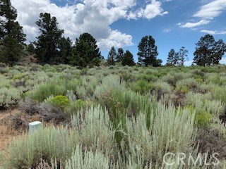 0 Ponderosa, Big Bear City, California 92314, ,Land,For Sale,0 Ponderosa,CROC20150732