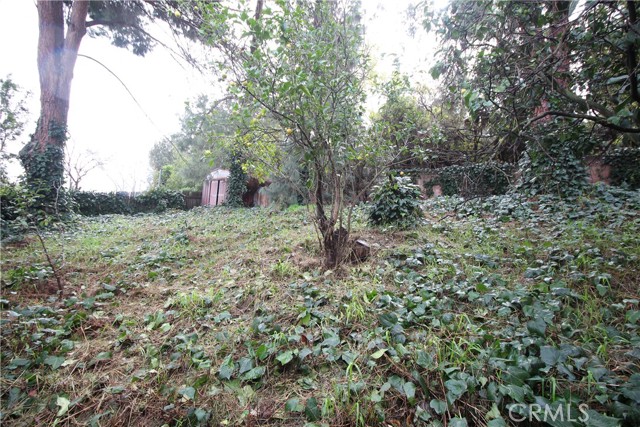 186 West Sidlee Street photo 3