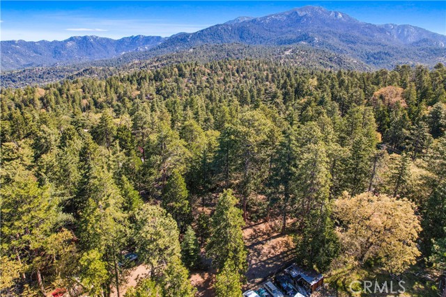 Detail Gallery Image 11 of 20 For 0 Pine Ridge Rd, Idyllwild,  CA 92548 - – Beds | – Baths