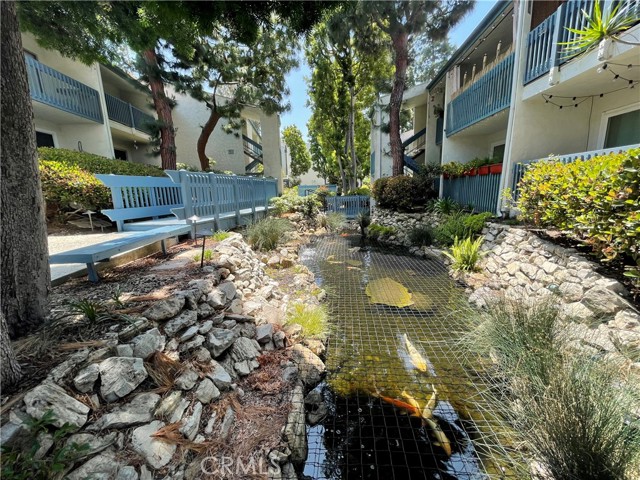 Koi Pond