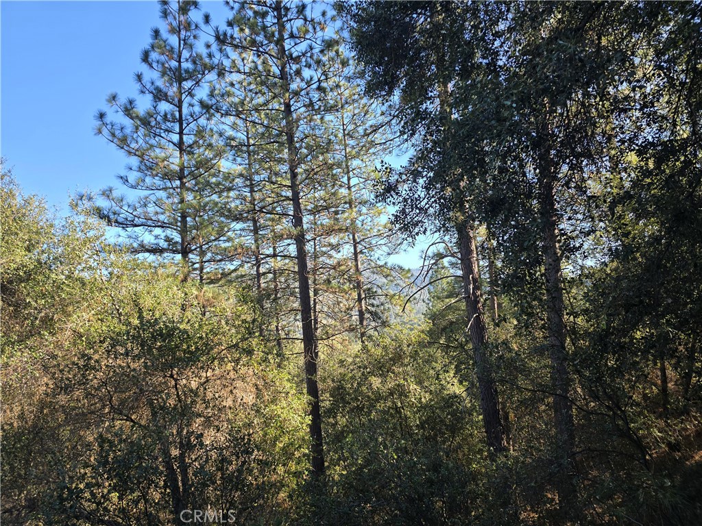 https://media.crmls.org/medias/ba6b6d84-2ac1-43b1-8e3f-4e3044ea4d0a.jpg?preset=X-Large