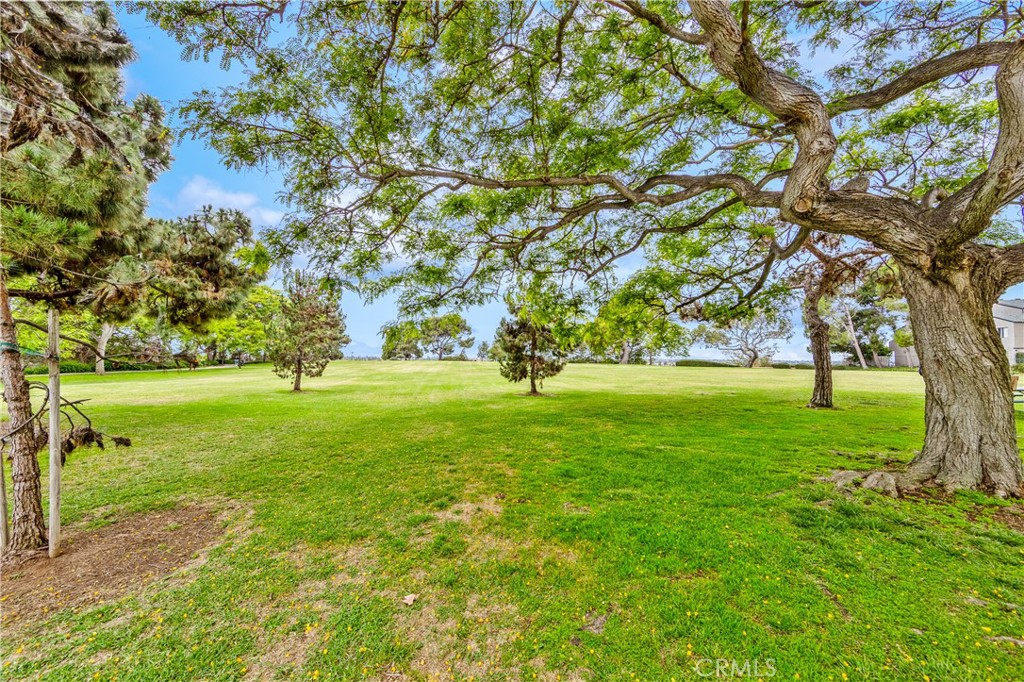 https://media.crmls.org/medias/ba6e697f-0843-4a10-91ed-becfd2faf826.jpg?preset=X-Large