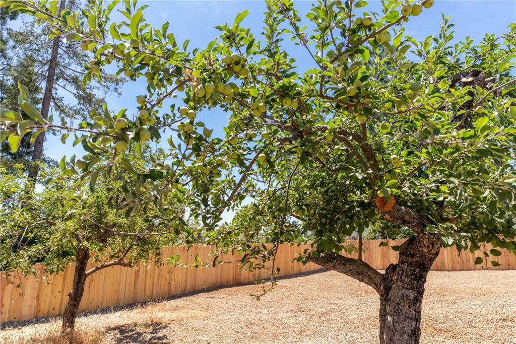 https://media.crmls.org/medias/ba748749-f968-4c7d-b371-6570df205864.jpg?preset=X-Large