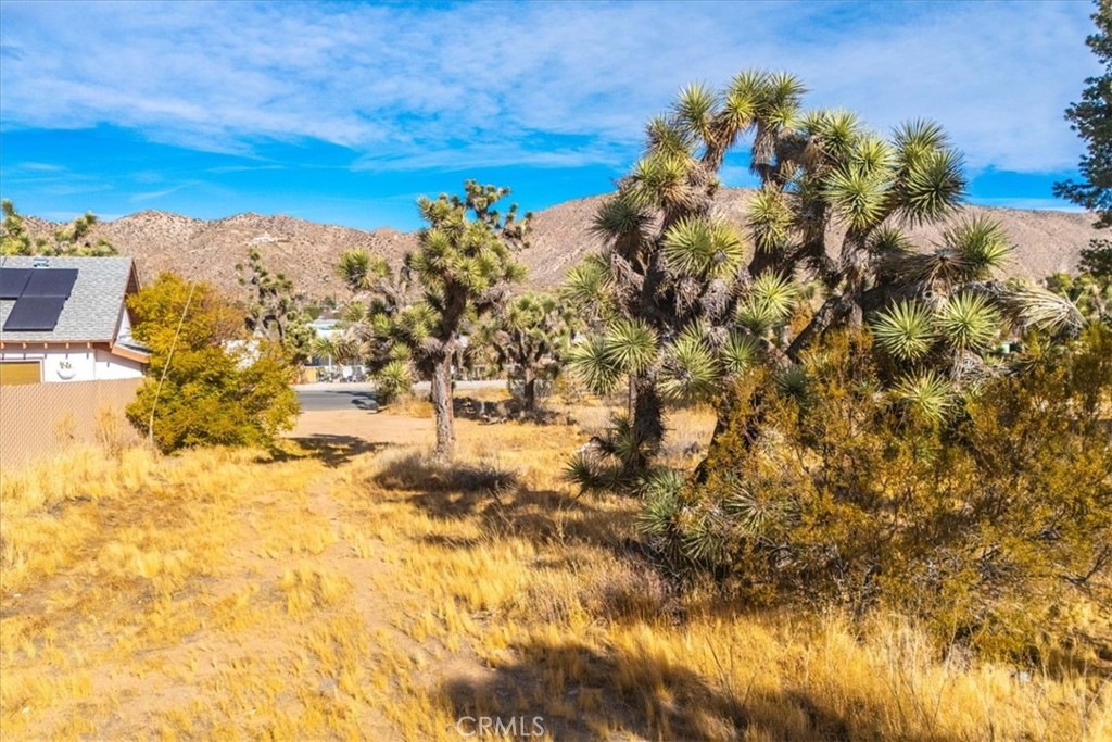 MLS #JT24242318 image #13