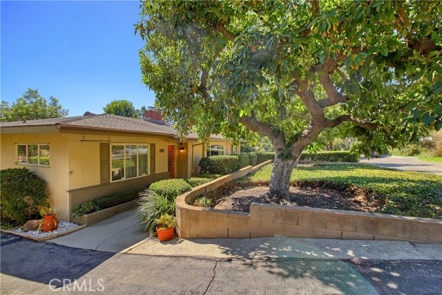 1914 Lyans Drive photo 5
