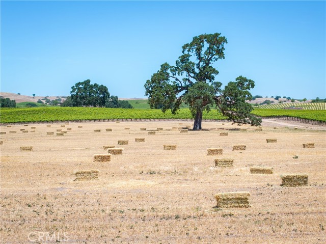 Detail Gallery Image 3 of 33 For 5275 Camp 8 Rd, Paso Robles,  CA 93446 - 12 Beds | 7/1 Baths