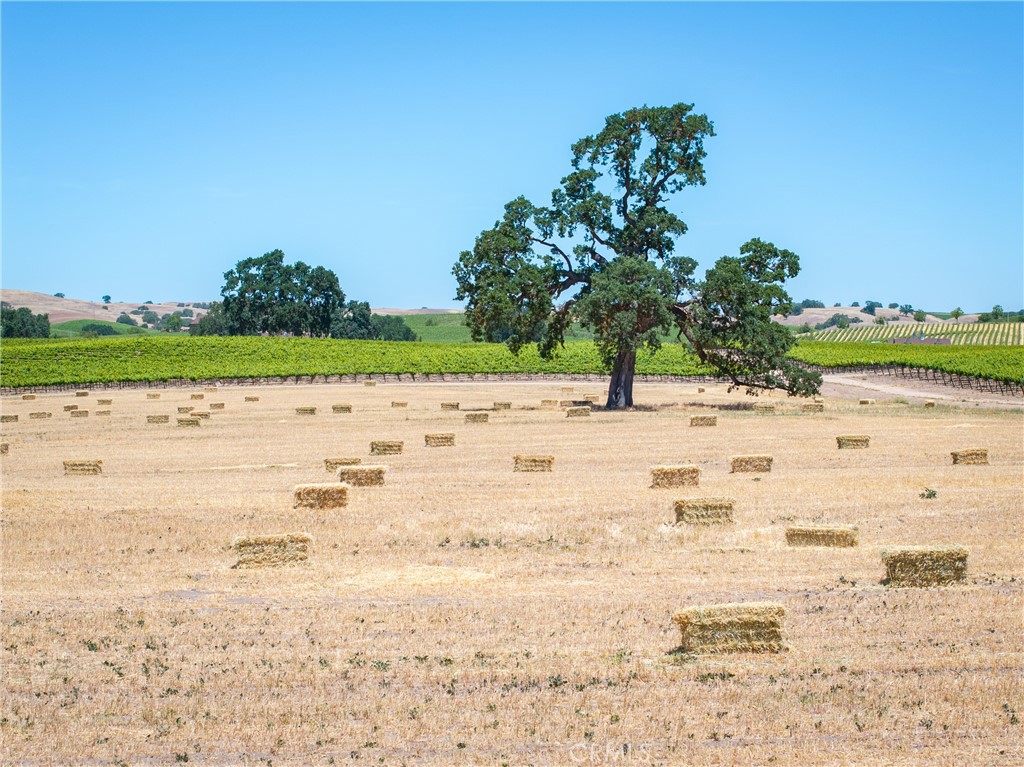 MLS #NS25115612 image #5